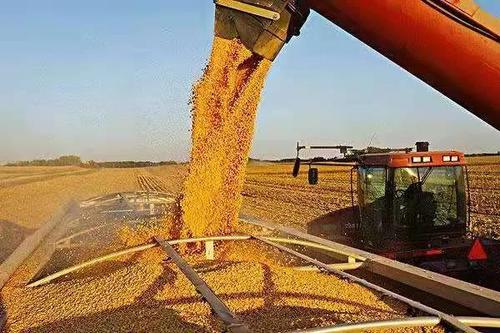 于怀洋:小麦玉米产业化联合体是食品加工企业,面粉生产企业,仓储企业