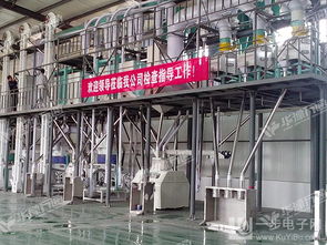 郑州50吨60吨100吨玉米加工成套设备 供应郑州50吨60吨100吨玉米加工成套设备