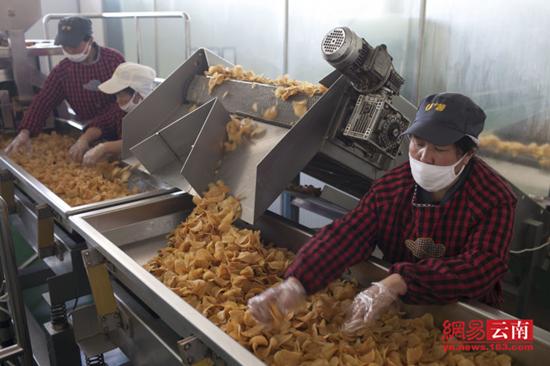 5 粮食与食品工业 加工马铃薯的增值税税率是多少?