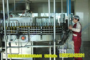 树莓果酒生产线设备 小型树莓酒酿造设备厂家
